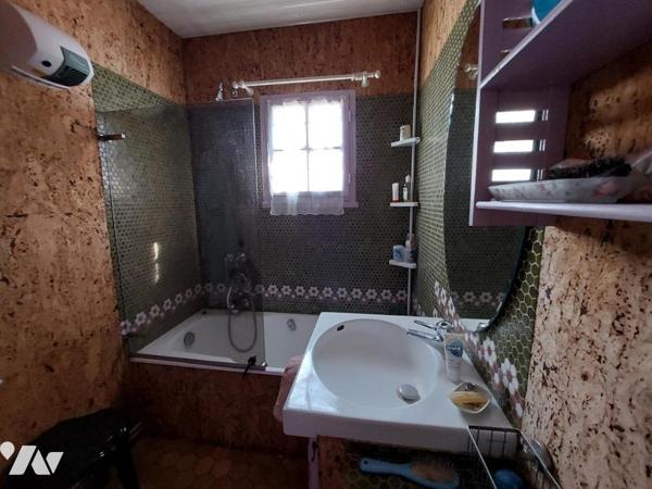 OLIVET - MAISON + MAISON D'AMIS + GARAGES + DEPENDANCE SUR TERRAIN DE 2612m²