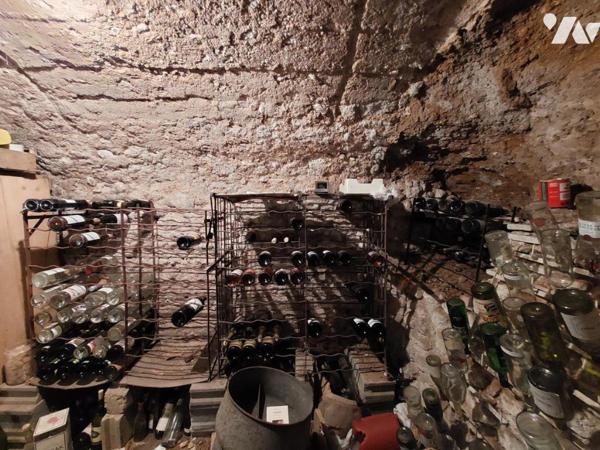 OLIVET - MAISON + MAISON D'AMIS + GARAGES + DEPENDANCE SUR TERRAIN DE 2612m²