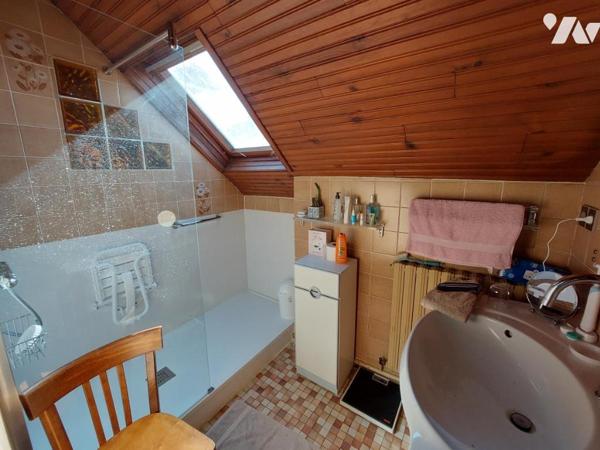 OLIVET - MAISON + MAISON D'AMIS + GARAGES + DEPENDANCE SUR TERRAIN DE 2612m²