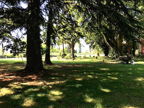 Aigues-Mortes (30220) RARE, 10 mn des plages, " CHÂTEAU ", 8 ha env clôturés, parc