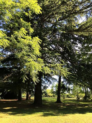 Aigues-Mortes (30220) RARE, 10 mn des plages, " CHÂTEAU ", 8 ha env clôturés, parc