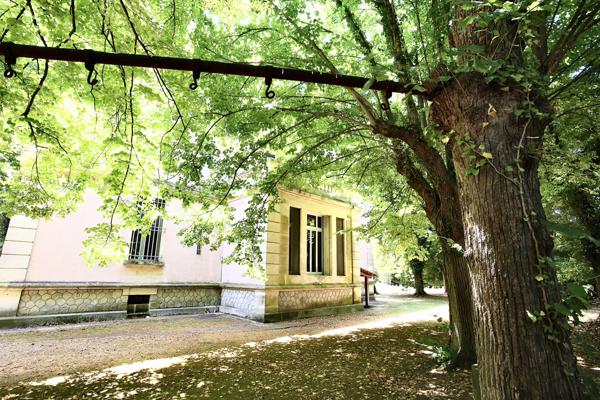 Aigues-Mortes (30220) RARE, 10 mn des plages, " CHÂTEAU ", 8 ha env clôturés, parc