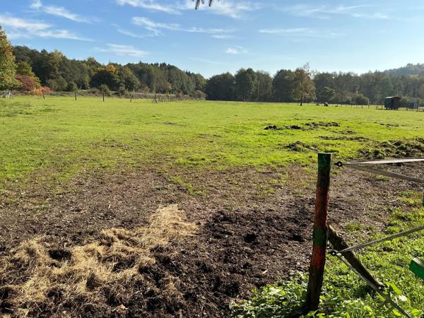 Maison 230m², 6 pièces,3 chambres,dépendances,7000m² de terrain.