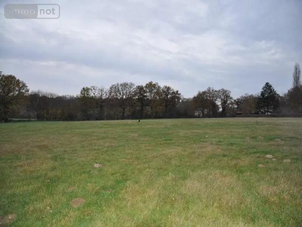 Achat - Terrain à bâtir | Terrain à Bâtir Ceaulmont 36200 400 m 2 1450 m 2