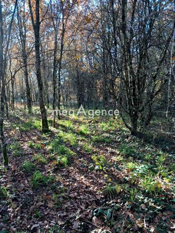Terrain à LE CHASTANG, 19190 - 3064m²