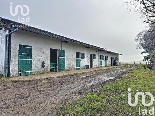 Maison 15 pièces de 300 m² à Château-Renard (45220)