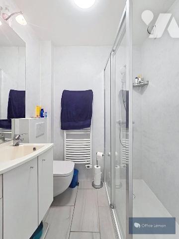 Immeuble de rapport avec local commercial et deux appartements – Ferney-Voltaire
