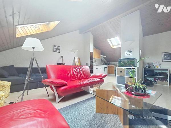 Immeuble de rapport avec local commercial et deux appartements – Ferney-Voltaire