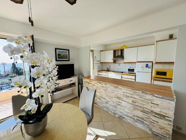 Vente appartement 2 pièces - F2 Juan les pins