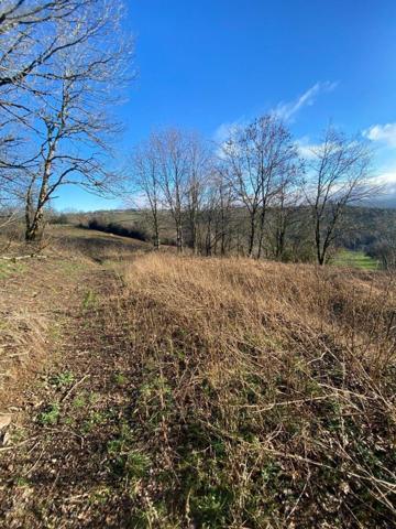 Terrain à Batir à vendre à Saint-Cirgues-de-Malbert dans le Cantal (15140), ref : 15060/1110