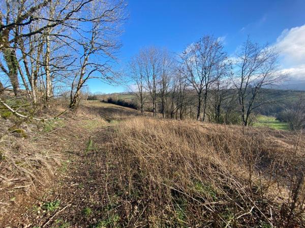 Terrain à Batir à vendre à Saint-Cirgues-de-Malbert dans le Cantal (15140), ref : 15060/1110