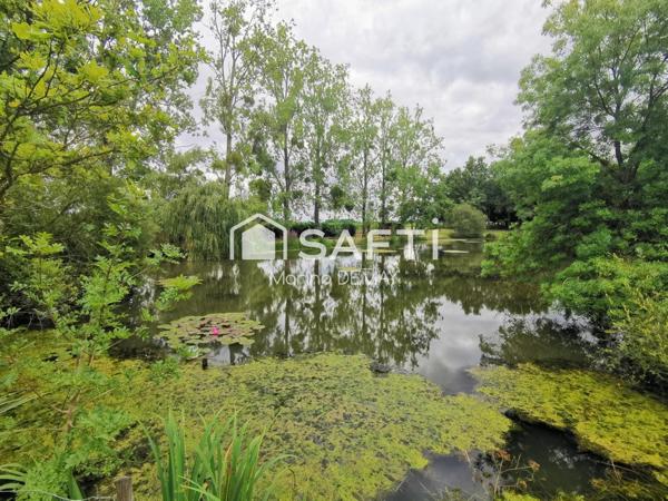 Un havre de paix  avec etang  en pleine nature
