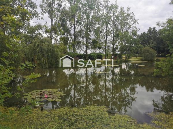 Un havre de paix  avec etang  en pleine nature