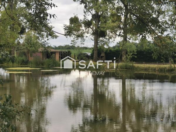 Un havre de paix  avec etang  en pleine nature