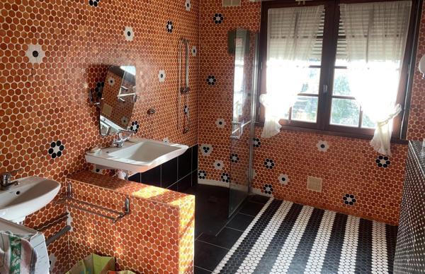 Immeuble à usage professionnel et habitation