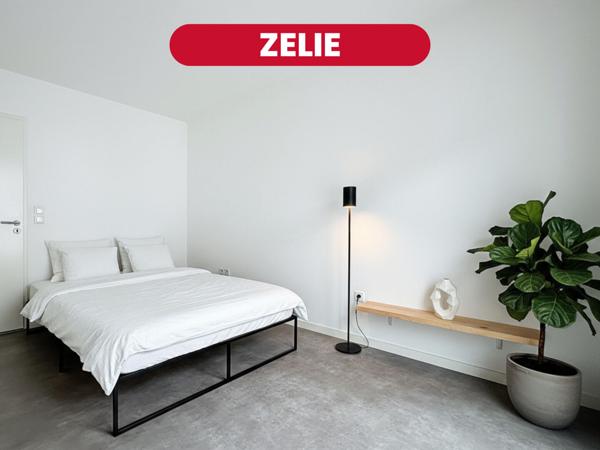 ZÉLIE ,T2 récent avec parking, à 5 min du métro | Lille Fives