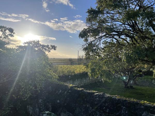LE PUY NOTRE DAME, Maison tuffeau de 162m² avec cour, jardin clos et dépendances.
