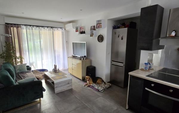 Vente Appartement P2 avec grand jardin et terrasse 20 m² Cauro   