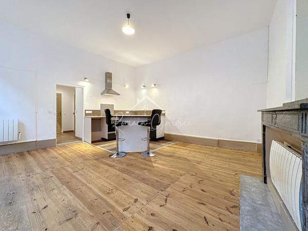 Millau (12100) APPARTEMENT F2 BIS 54 M² HYPERCENTRE MILLAU