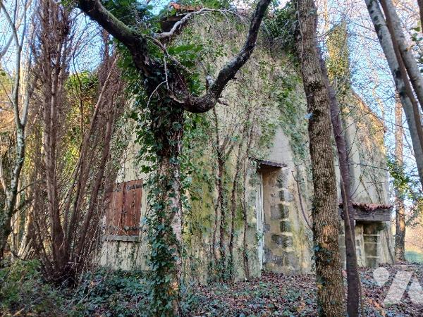 Ancien moulin à vendre à ALLONNE (79130)
