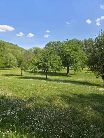 ⭐Domaine d'exception de 163 ares, maison et dépendance
