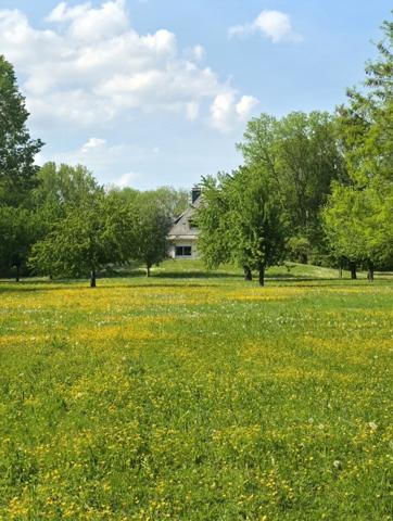 ⭐Domaine d'exception de 163 ares, maison et dépendance