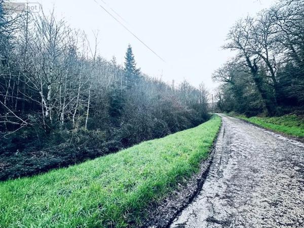 Achat - Terrain de loisirs, bois, étangs Arzano 29300 131500 m 2