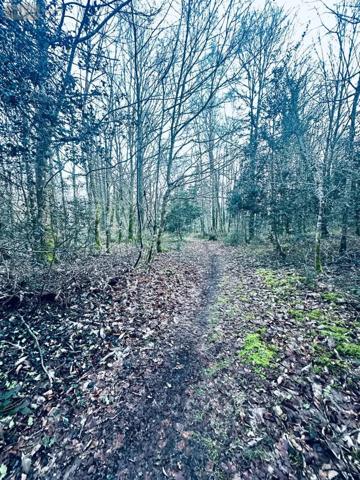 Achat - Terrain de loisirs, bois, étangs Arzano 29300 131500 m 2