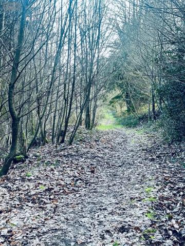 Achat - Terrain de loisirs, bois, étangs Arzano 29300 131500 m 2
