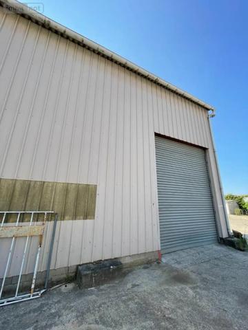 Achat - Fonds et/ou murs commerciaux Saint-Jean-de-Liversay 17170 4000 m 2 53580 m 2