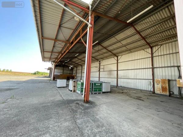Achat - Fonds et/ou murs commerciaux Saint-Jean-de-Liversay 17170 4000 m 2 53580 m 2