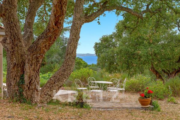 Le Pradet — Villa au calme, grand terrain naturel piscinable et vue mer