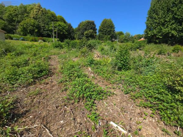 Achat - Terrain à bâtir | Terrain à bâtir Ambazac 87240 1247 m 2