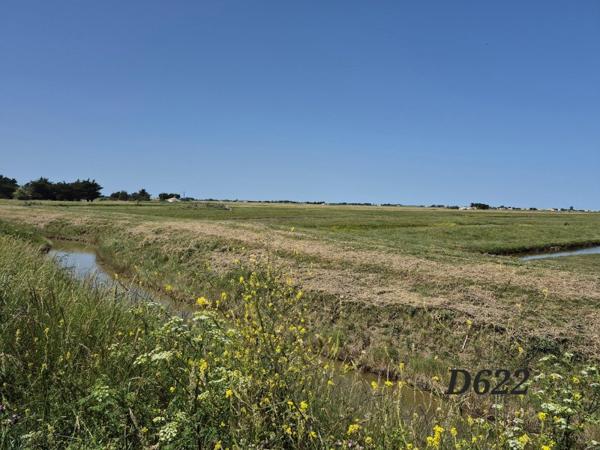 Vente / Terrain