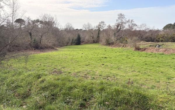 Vente Terrain Perros-guirec