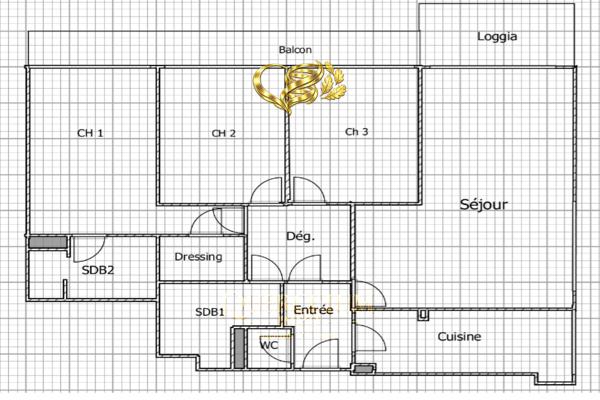 'CAMPHRIER SACRE ' : appartement 3 chambres 96 m2 - balcon filant 12 m2
