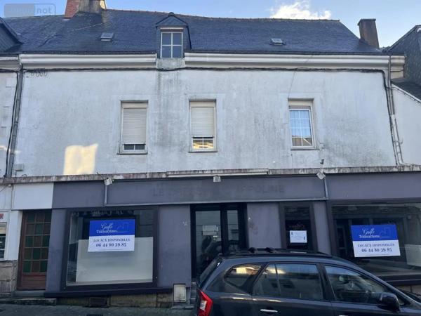Achat - Immeuble Ploërmel 56800 206 m 2 206 m 2