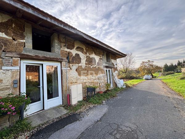 A Vendre Coligny , maison de plain pied avec 1710 m² de terrain