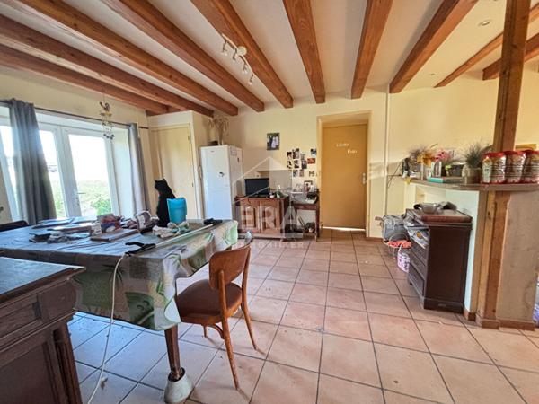 A Vendre Coligny , maison de plain pied avec 1710 m² de terrain