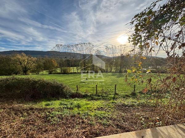 A Vendre Coligny , maison de plain pied avec 1710 m² de terrain