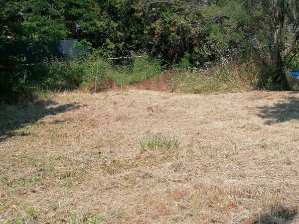 Terrain constructible