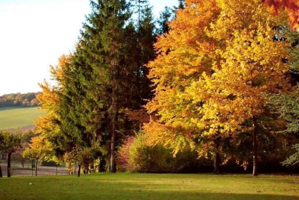 Villiers-sur-Tholon (89110) Très belle propriété à vendre à proximité d'Auxerre