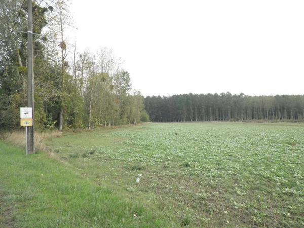 Achat - Terrain à bâtir | Terrain à usage professionnel Fismes 51170 5476 m 2