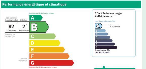 29520 Châteauneuf du Faou Viager occupé 1 tête homme 77 ans aucun travaux à prévoir