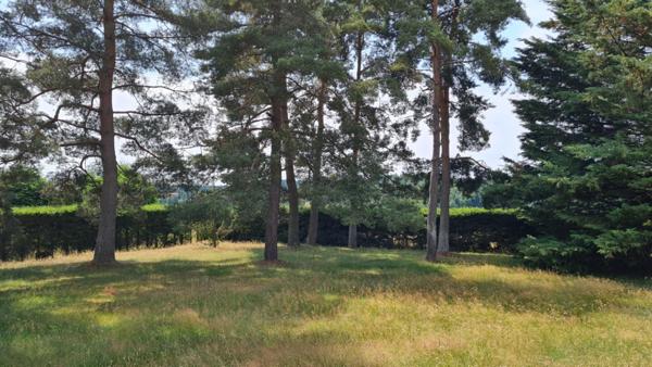 EXCLUSIVITE Jonzieux 42660 villa plain-pied construite en 1972 exposée EST/Ouest 118m² habitables 4 chambres 2 garages sur 3277m² de terrain