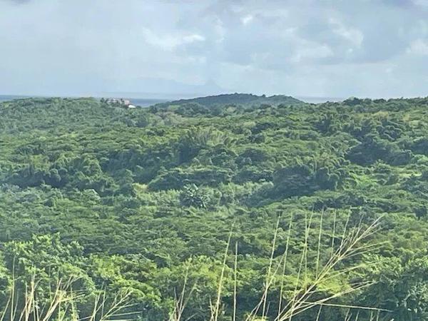 Vente Terrain 499 m2 à Rivière-Salée