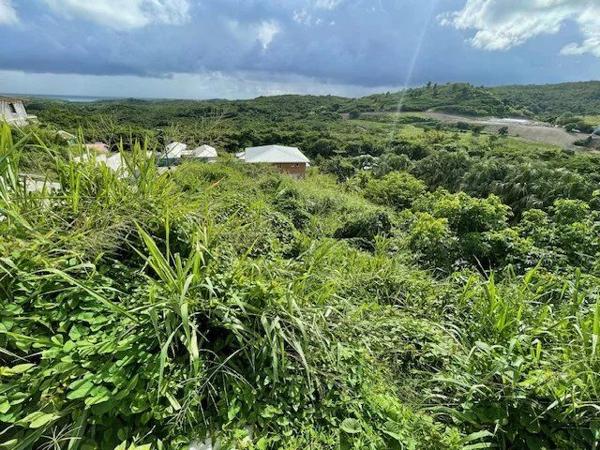 Vente Terrain 499 m2 à Rivière-Salée