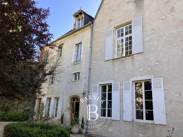 Mehun-sur-Yèvre, Hôtel particulier  400 m² à vendre