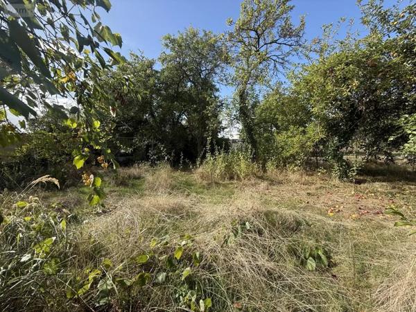 Achat - Terrain à bâtir Gueux 51390 885 m 2