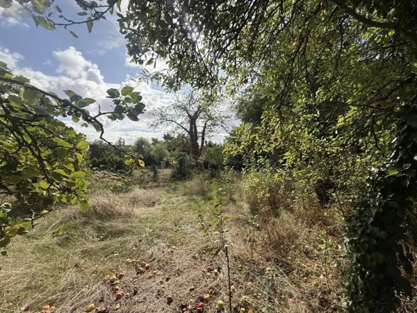 Achat - Terrain à bâtir Gueux 51390 885 m 2